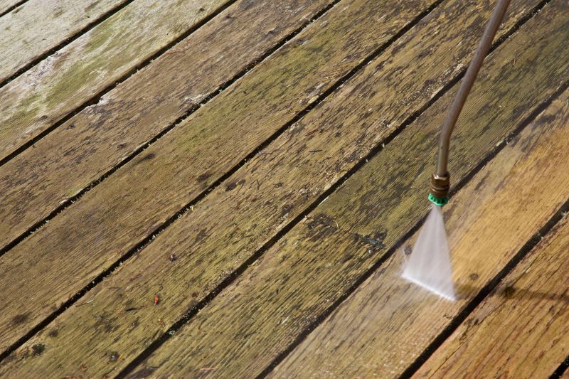 Deck Mold Cleaning